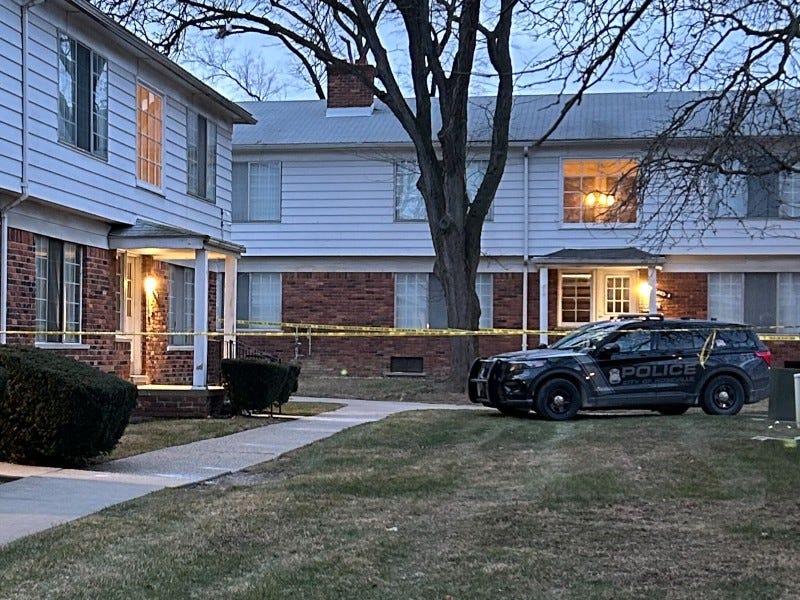 Roseville police investigating disappearance of Ashley Elkins