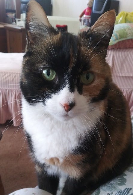 Rosie