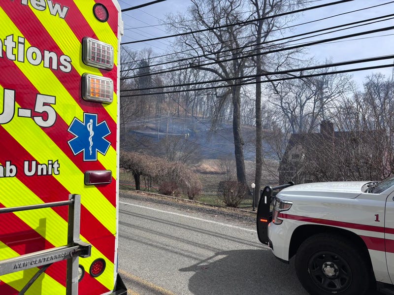 Brush fire in Ross Township