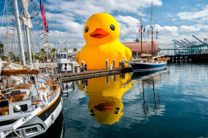 World's Largest Rubber Duck