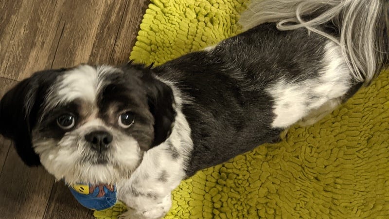 Rudy Roo  Heather R 8/4/21