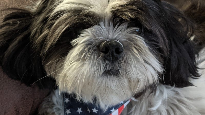 Rudy Roo / 2022