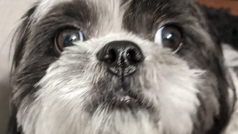 Rudy Roo / HR
