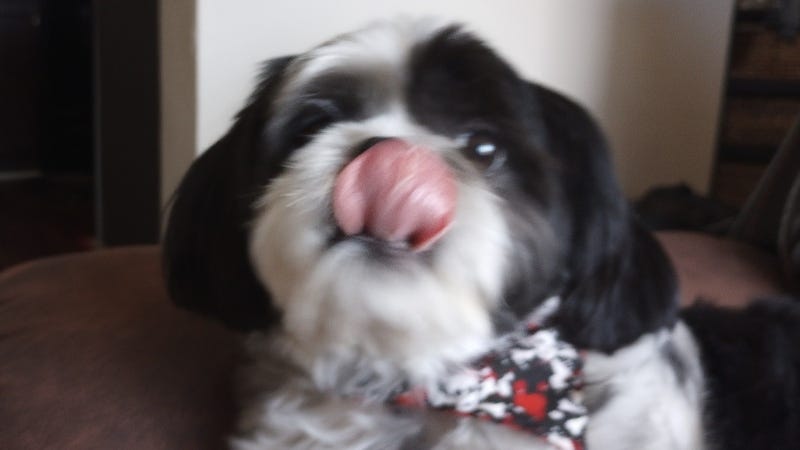 Rudy Roo 2023 / HR