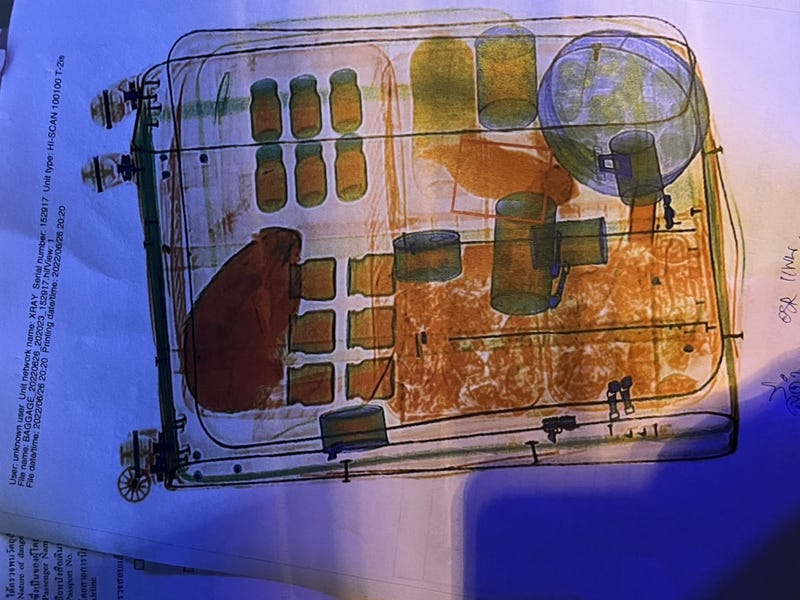 Airport security X-rays of the luggage and the animals inside of it. 