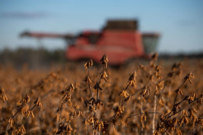 Inland Port Dillon, opened in 2018, provided soybean farmers a direct connection to the Port of Charleston via CSX.