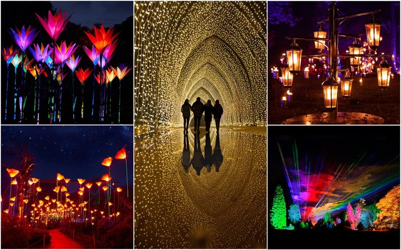 San Diego Botanic Garden Lightscape