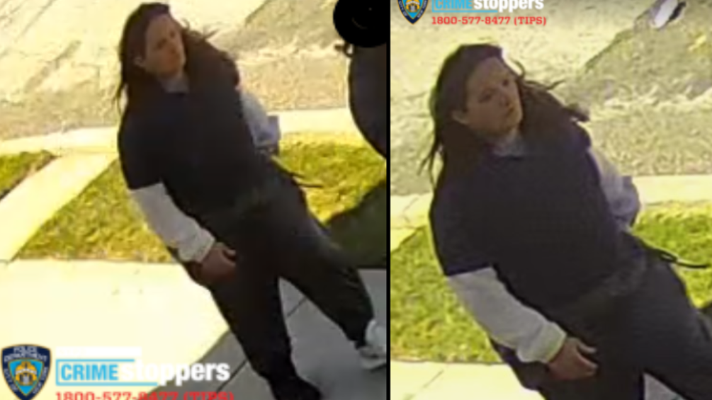 Rampaging stranger pulls woman's hair, steals her keys in SI street attack