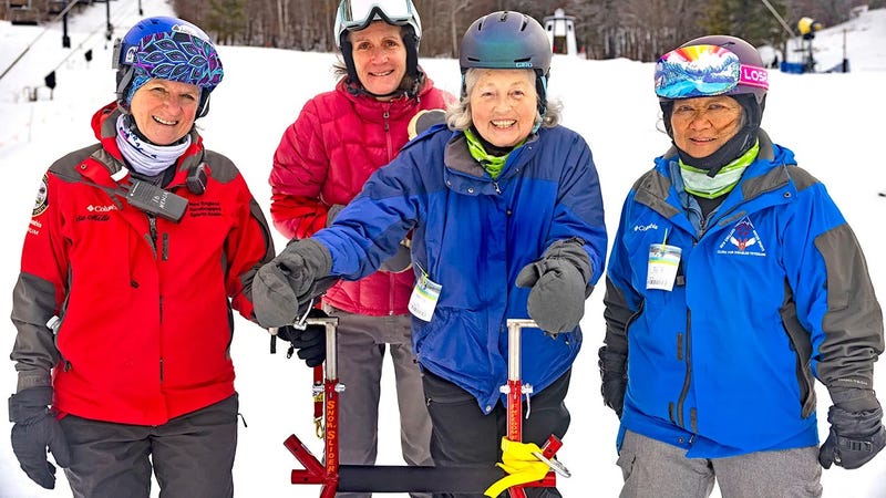 SKICOVER