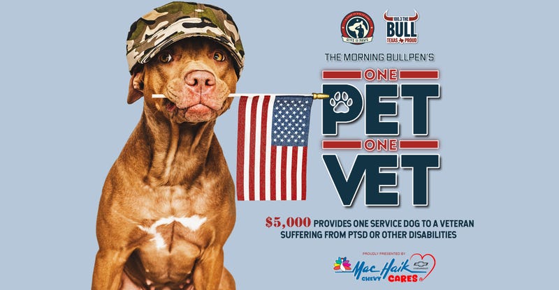 One Pet One Vet