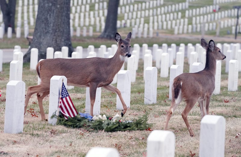 National Wreaths Across America Day at Jefferson Barracks National Cemetery