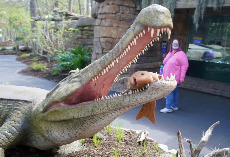 Saint Louis Zoo Dinoroarus
