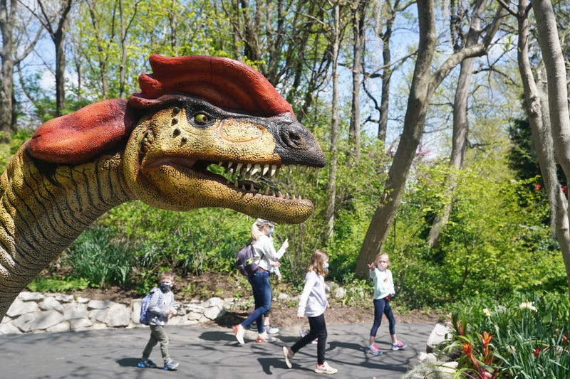 Saint Louis Zoo Dinoroarus