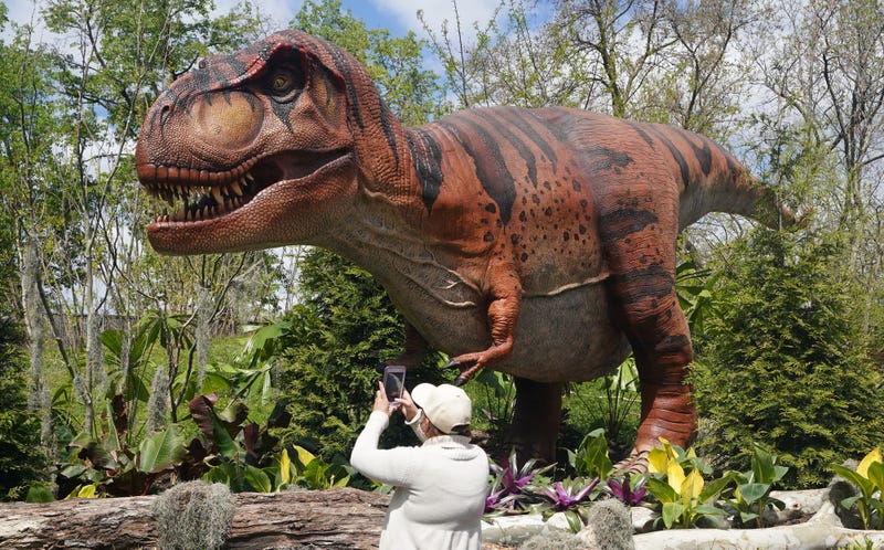 Saint Louis Zoo Dinoroarus