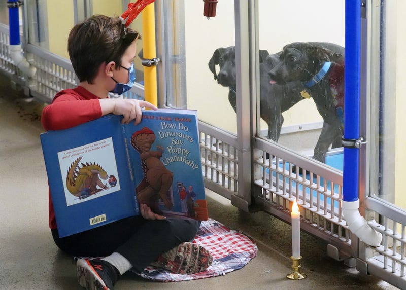 Reading to dogs at Humane Society of Missouri in St. Louis
