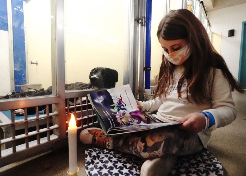 Reading to dogs at Humane Society of Missouri in St. Louis