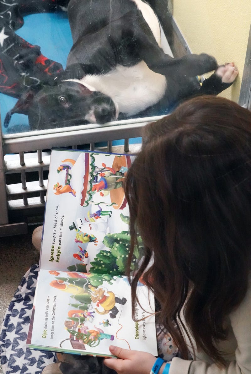 Reading to dogs at Humane Society of Missouri in St. Louis