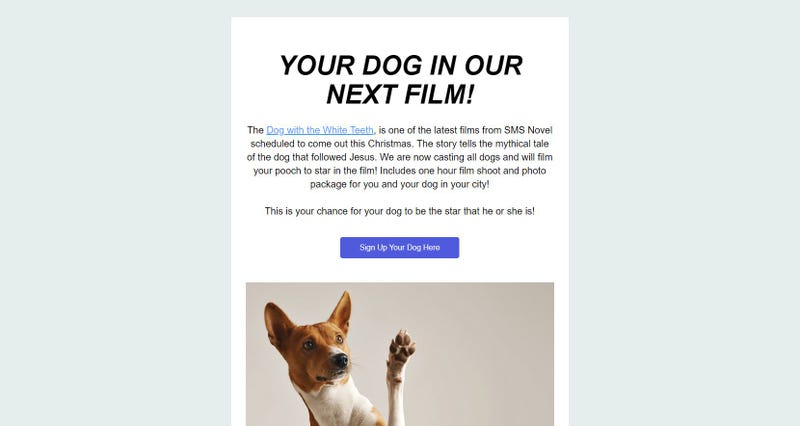 SMS Novel casting call for dogs to audition for their film
