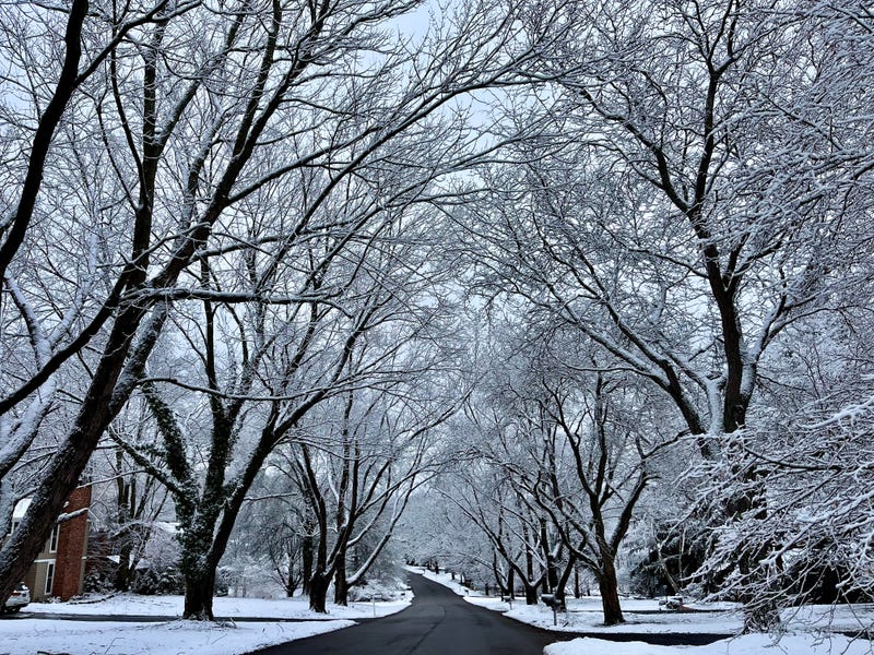 A snowy road in Orchard Park, NY, from the winter of 2024.