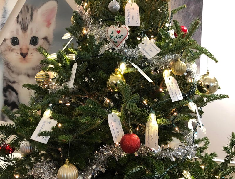 Lights of Love tree at SPCA Serving Erie County, in memory of, or, in honor of, a person or pet