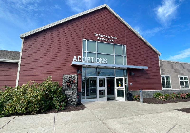 SPCA adoption event