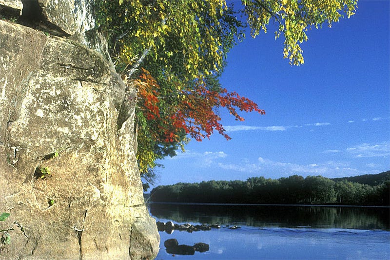 The manmade Lake Alice in William O'Brien State Park, which was accidentally drained. 