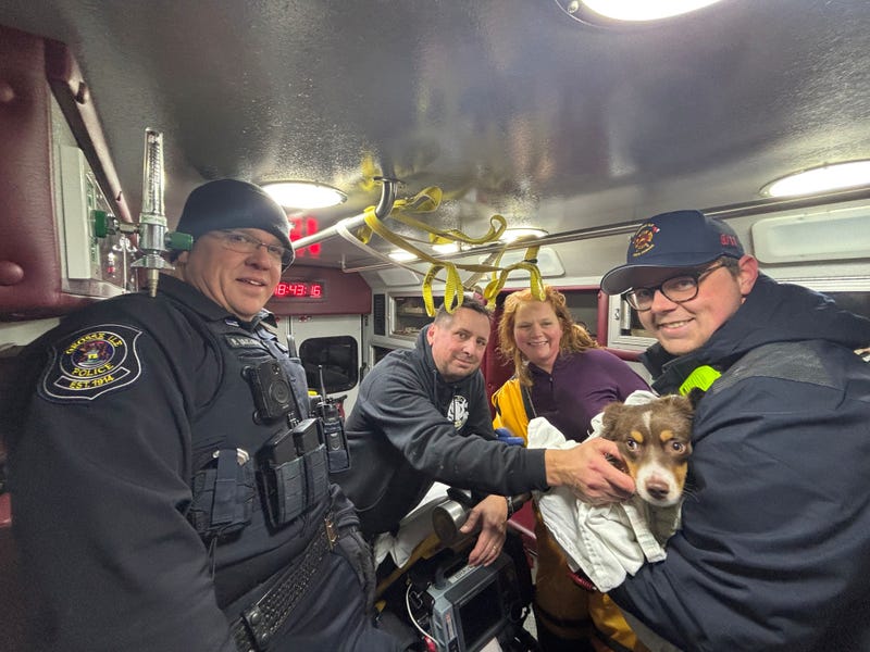 A picture of fire and police officials with the Australian Shepherd puppy