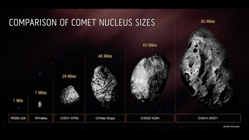 This diagram compares the size of the icy, solid nucleus of comet C/2014 UN271 (Bernardinelli-Bernstein) to several other comets. The majority of comet nuclei observed are smaller than Halley’s comet. 