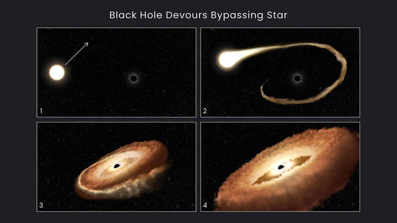 Watch a star's final moments as its eaten by a black hole