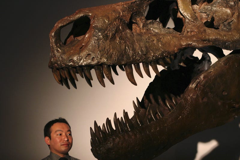SUE T Rex