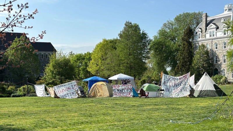pro-Palestine encampment 
