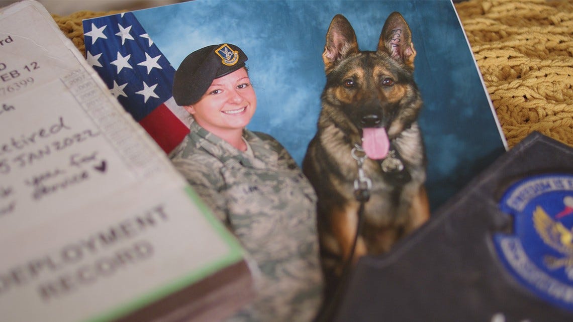Following long separation, Military Working Dog and Air Force vet are together again