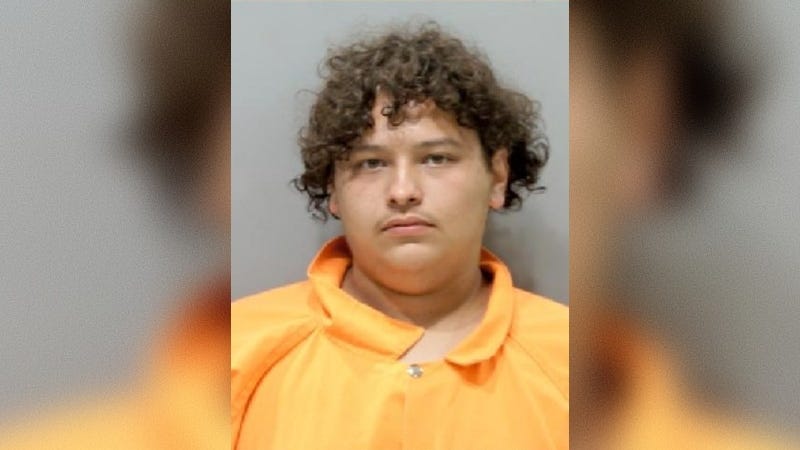 21-year-old Redford man facing 20 charges after firing shots at officers from stolen truck during wild police chase