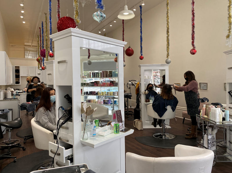 Fox and the Hair salon