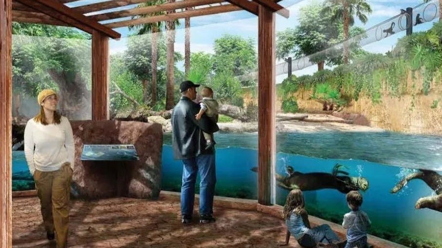 Santa Ana Zoo begins construction on new otter, monkey exhibit