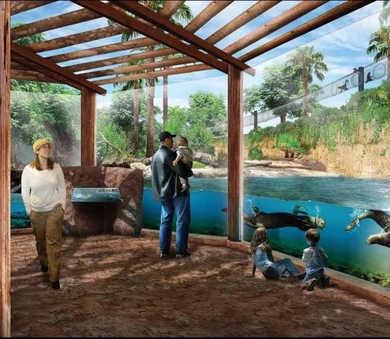 Sketch drawing of the upcoming otter exhibit at the Santa Ana Zoo