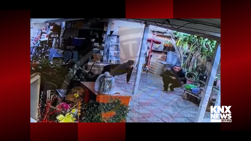 Santa Ana robbery suspects in the victim's backyard.