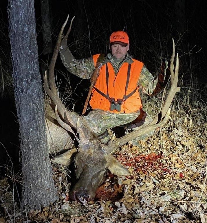 elk hunt