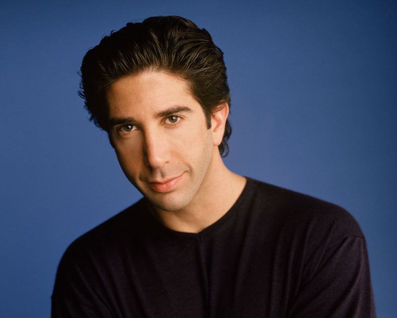 David Schwimmer as Ross Geller