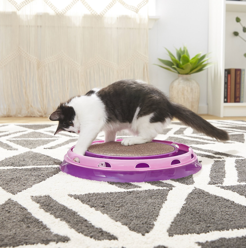 Scratch and roll cat toy with catnip 