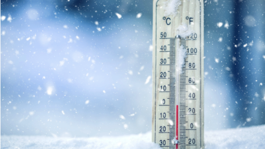 Cook County reports first 2 cold-related deaths of the season