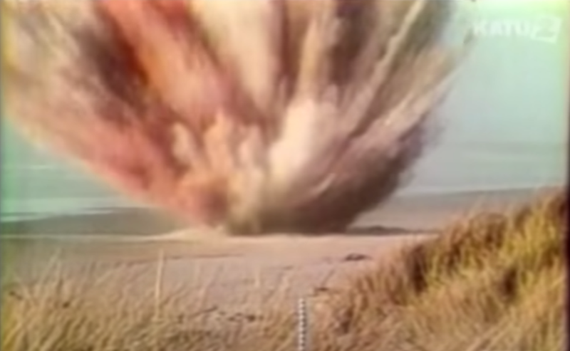 Officials with the Oregon Highway Division famously decided to blow up a beached, dead sperm whale in November 1970.
