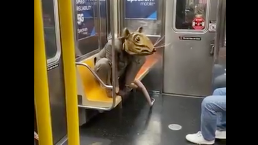 VIDEO: Man in giant rat costume crawls onto subway car; here's the MTA's reaction