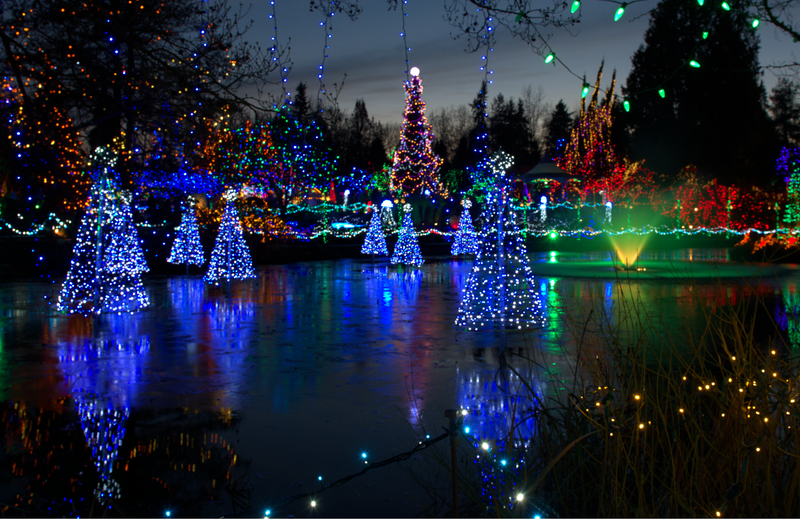 holiday lights