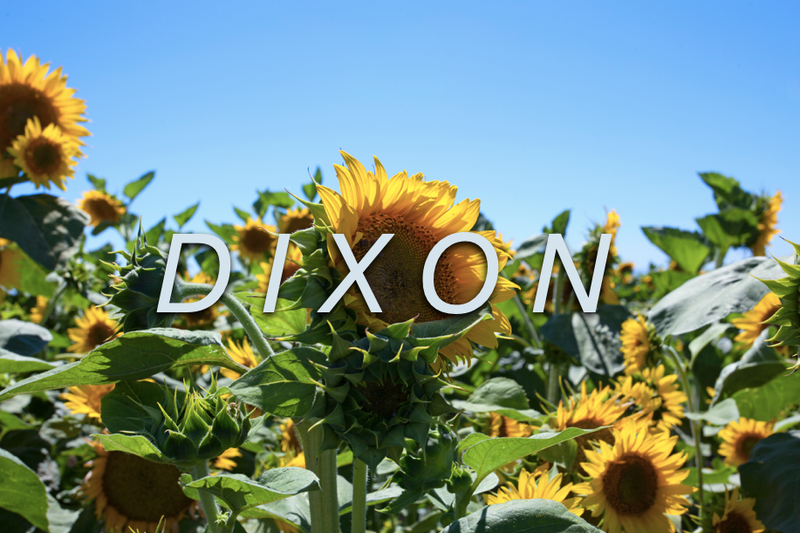 Dixon