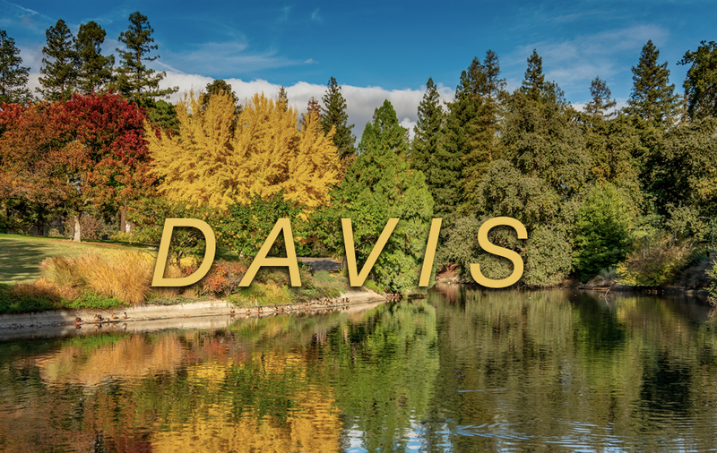 Davis