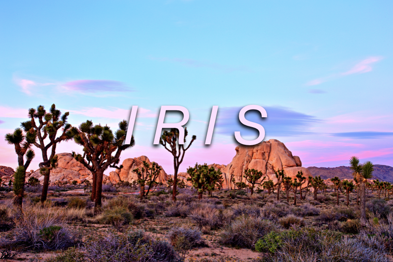 Iris