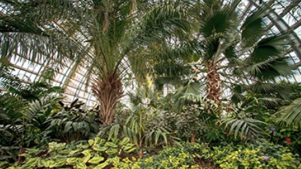 It's back, with safeguards: Garfield Park Conservatory