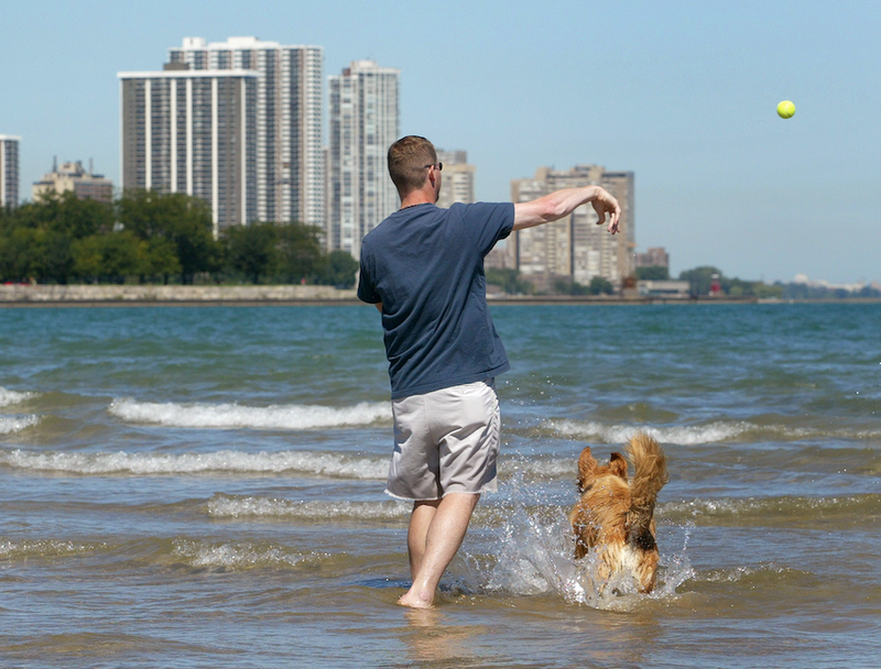 dog park