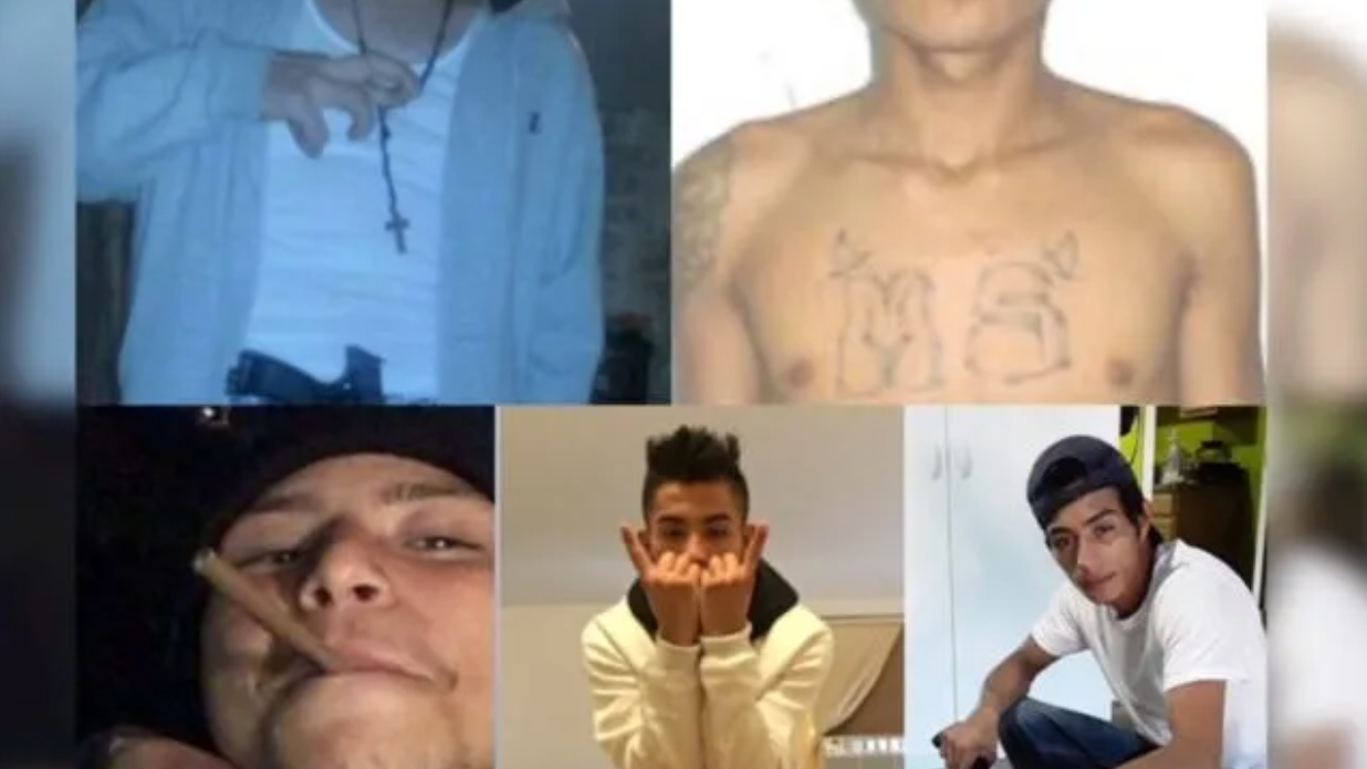 10 alleged MS-13 members, associates charged in 3 Queens murders, attempted murder
